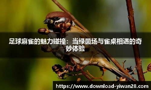 足球麻雀的魅力碰撞：当绿茵场与雀桌相遇的奇妙体验